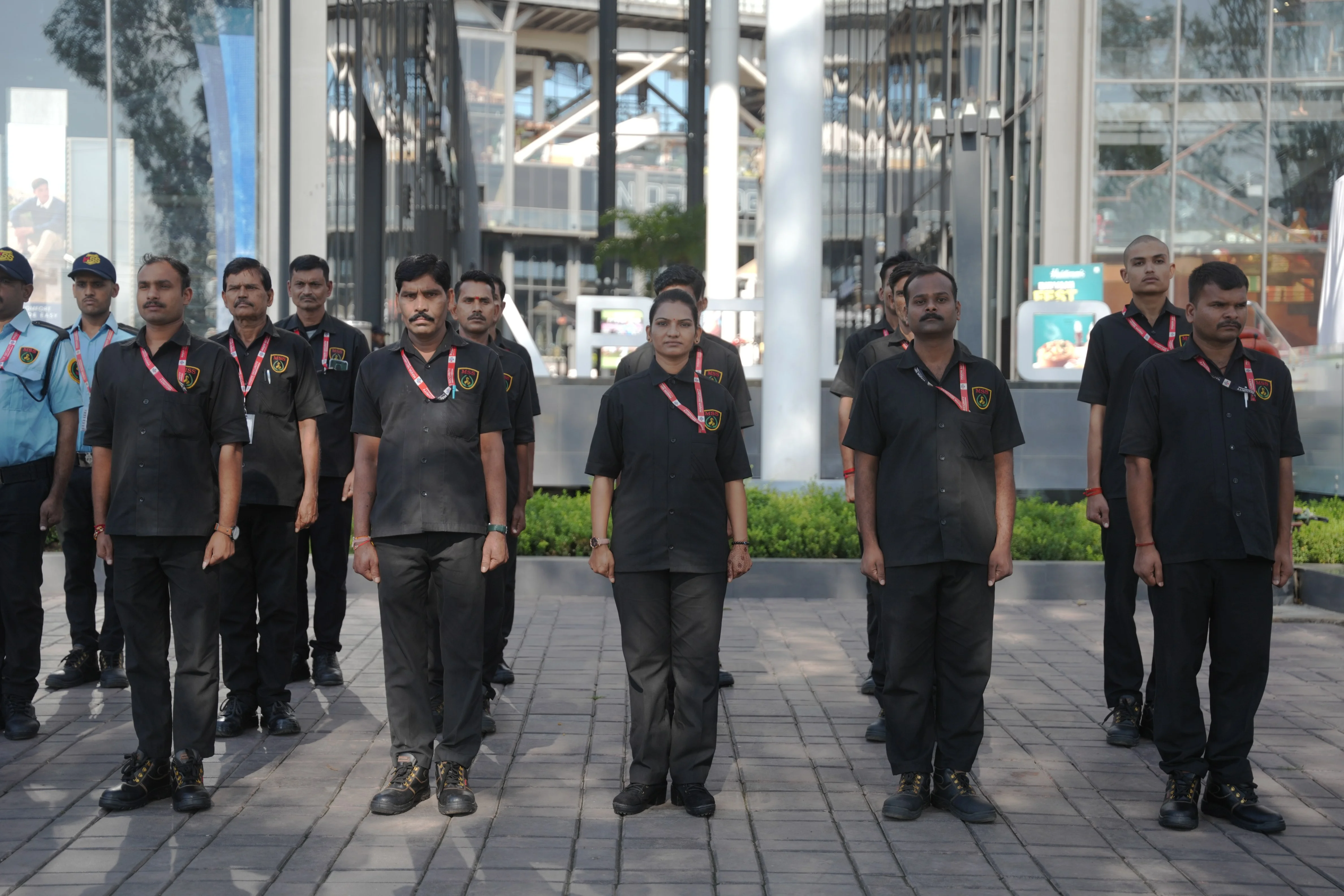 Professional security team