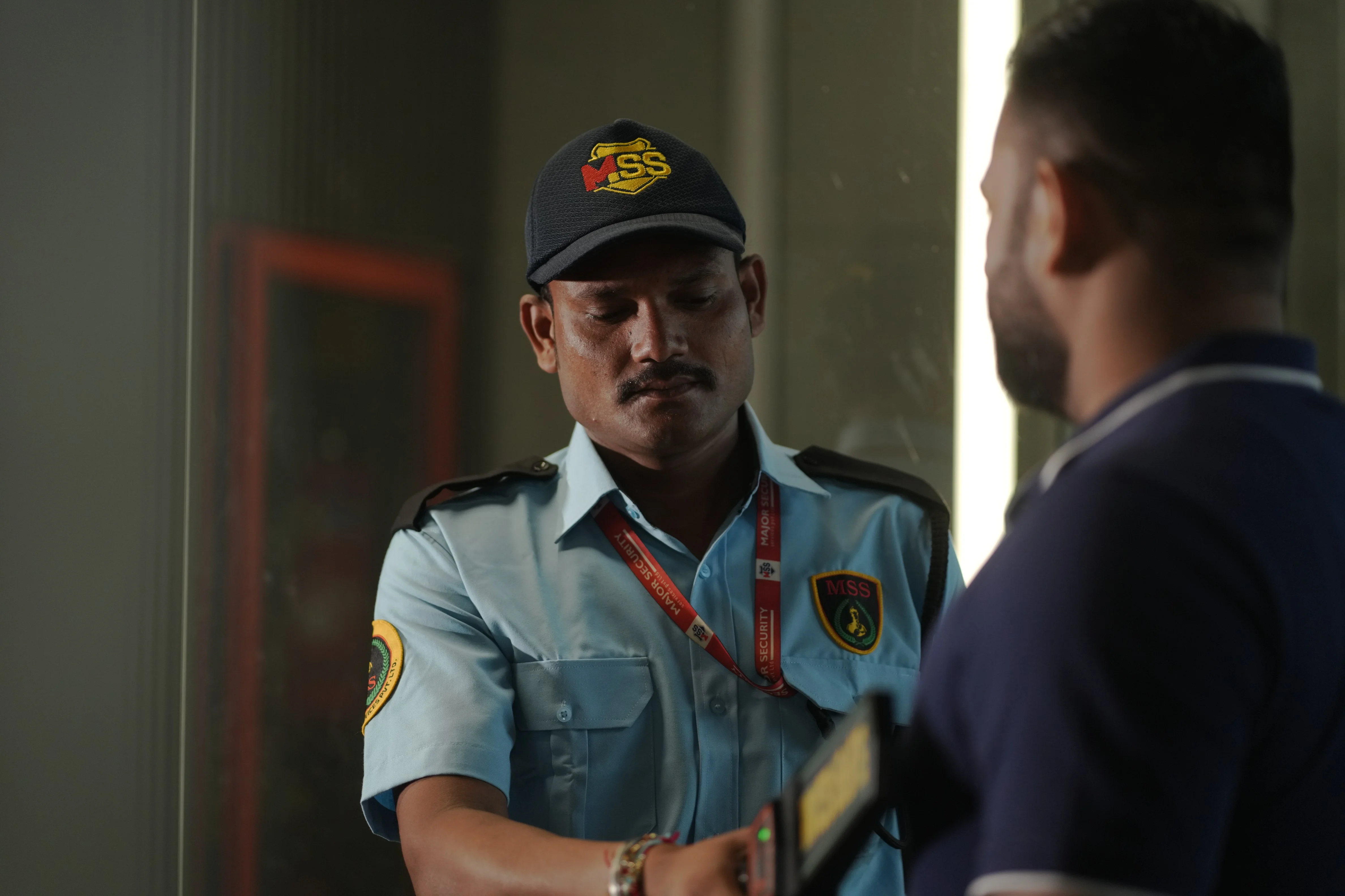 Professional security services